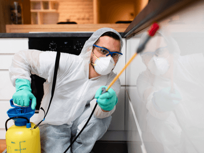 About Ant Control Montecito - ant control experts in Montecito
