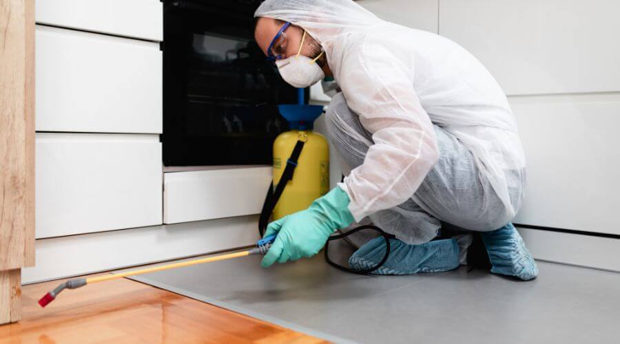 Why choose Ant Control Montecito for ant control in Montecito